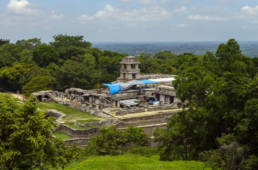 Tren Maya no afectará reservas ecológicas ni arqueológicas, dice secretaria de Medio Ambiente