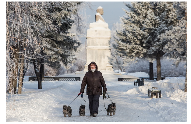 Una mujer rusa camina con sus perros en Siberia. (Getty Images, archivo)