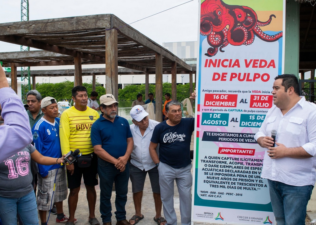 Inicia temporada de veda de pulpo maya en Campeche