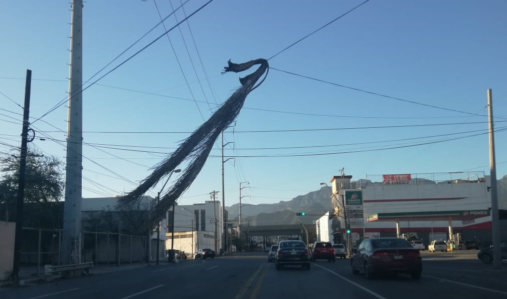 Vientos fuertes derriban postes y espectaculares en Monterrey