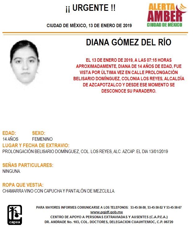 Alerta Amber para localizar a Diana Gómez del Río