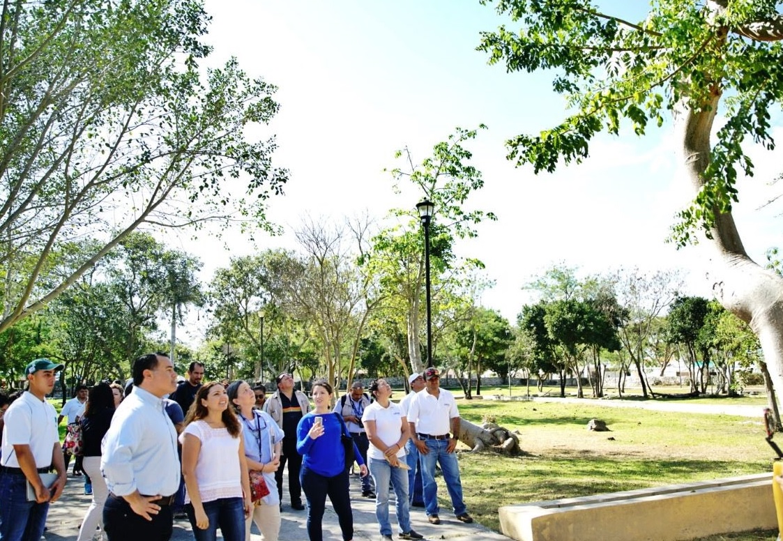 Realizan censo de árboles en Mérida empleando tecnología de EU