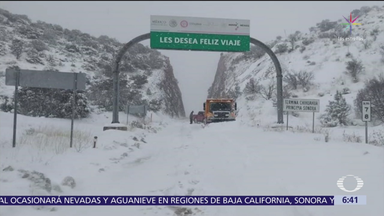 Cae la primera nevada de la temporada en La Rumorosa, Baja California