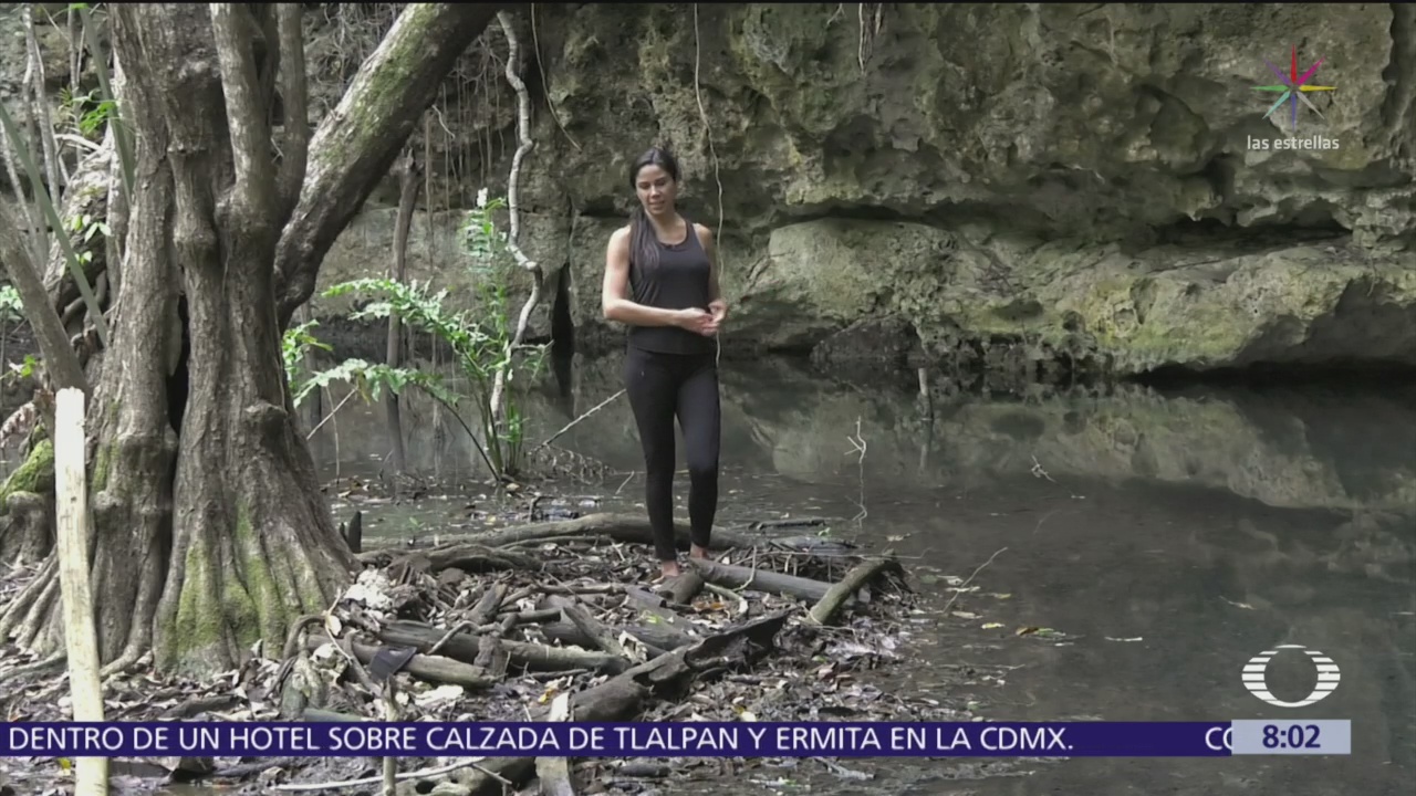 Cenotes, cápsula de tiempo que resguardan evidencia de la civilización maya