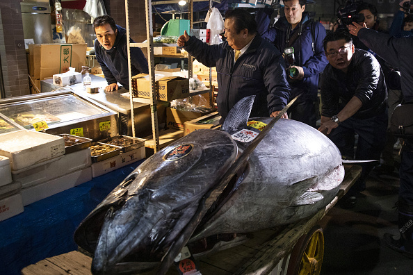 Venden atún aleta azul en 3 millones de dólares en Tokio