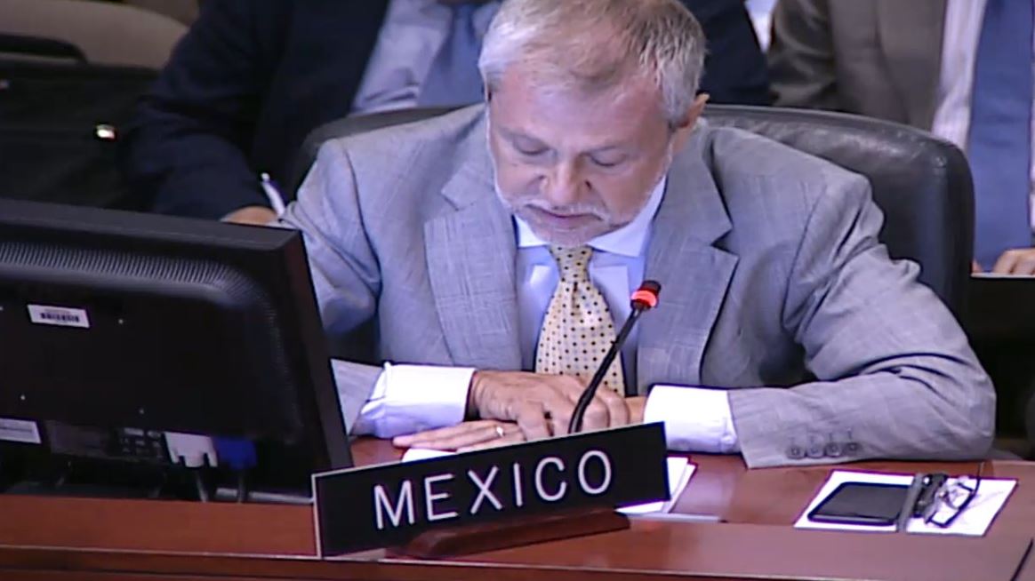 Foto: El embajador de México ante la Organización de Estados Americanos, Jorge Lomonaco, 24 enero 2019