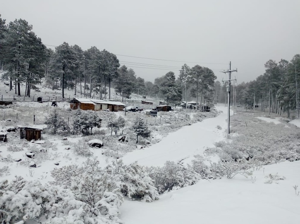 Fuerte nevada sorprende 4 comunidades de Guanasevi, Durango