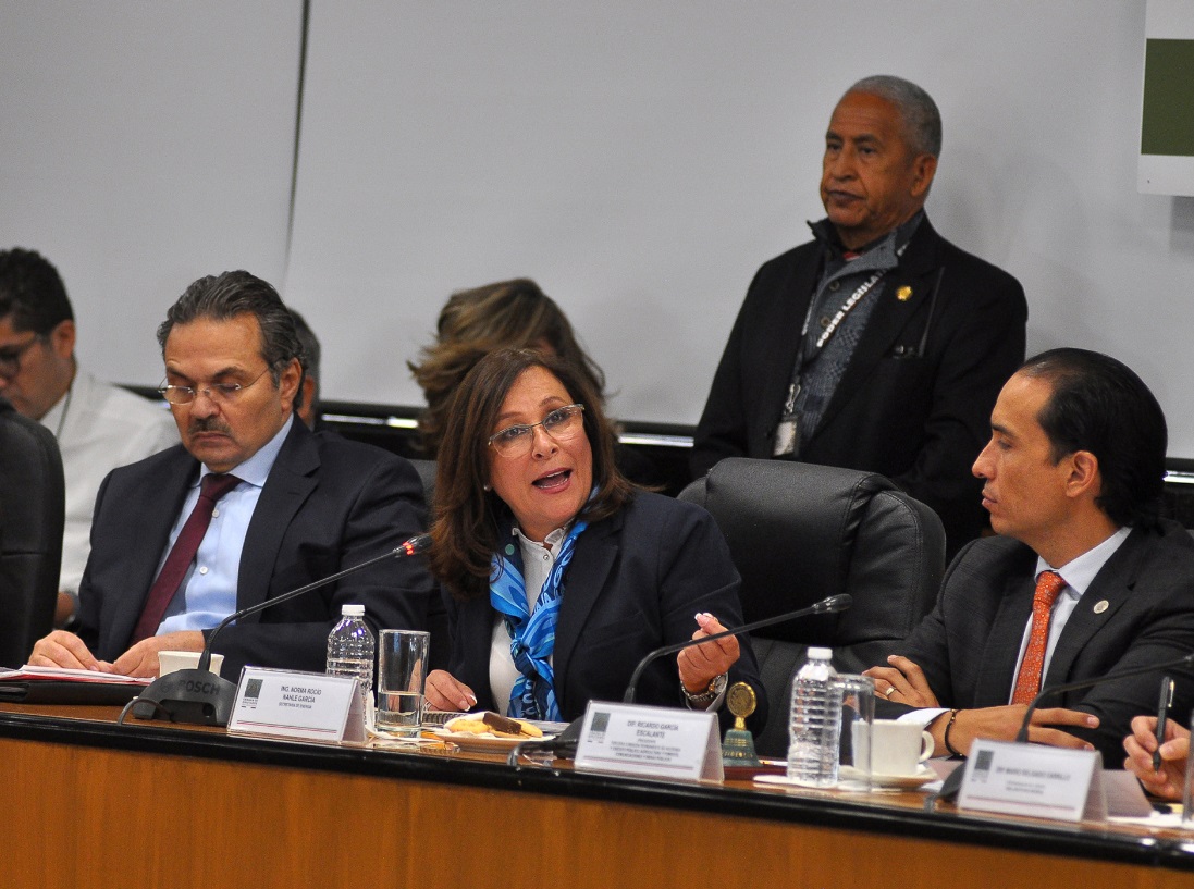 Foto: La secretaria de Energía, Rocío Nahle García, habla durante una reunión de trabajo con la Tercera Comisión de la Permanente del Congreso de la Unión, enero 28 de 2019 (Notimex)