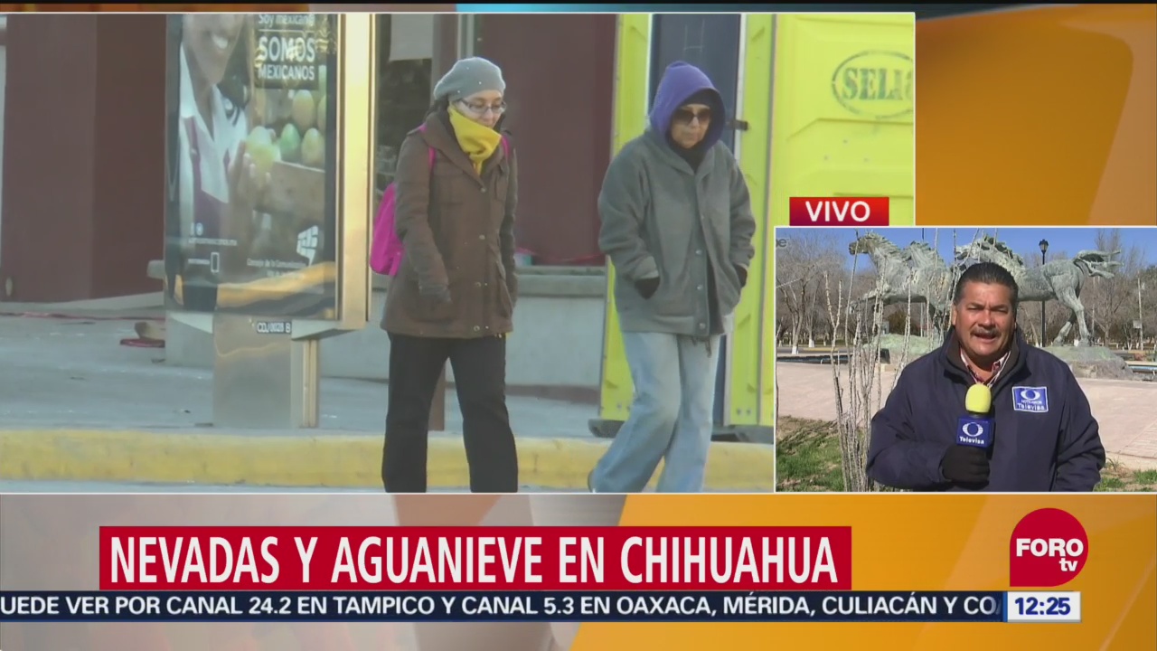 Siguen nevadas en Chihuahua por tormentas invernales