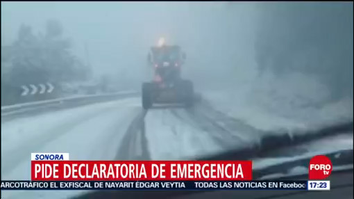Sonora pide declaratoria de emergencia por el frío