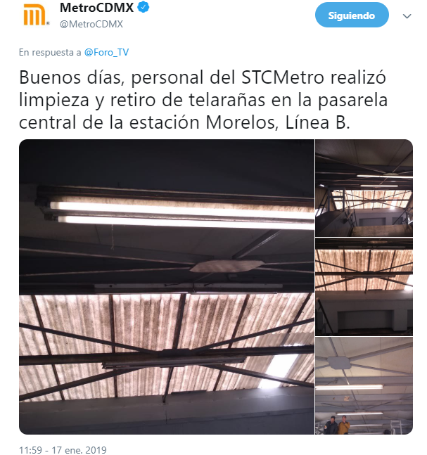 Arañas invaden estación Morelos del Metro CDMX