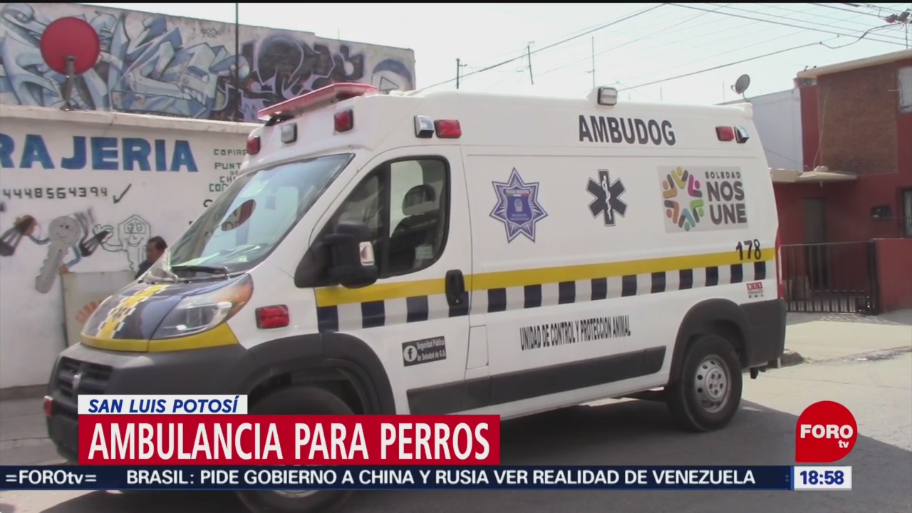 Ambulancia para perros en San Luis Potosí