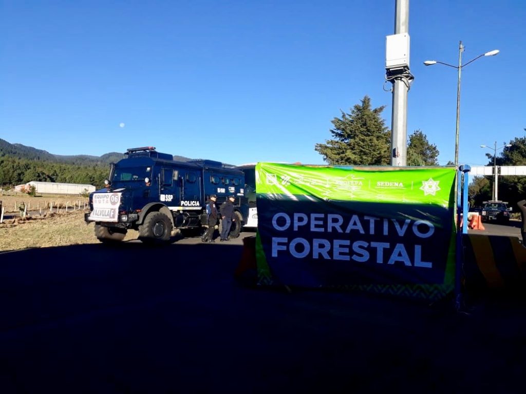 Foto: Operativo contra talamontes en cerro del Ajusco 21 febrero 2019