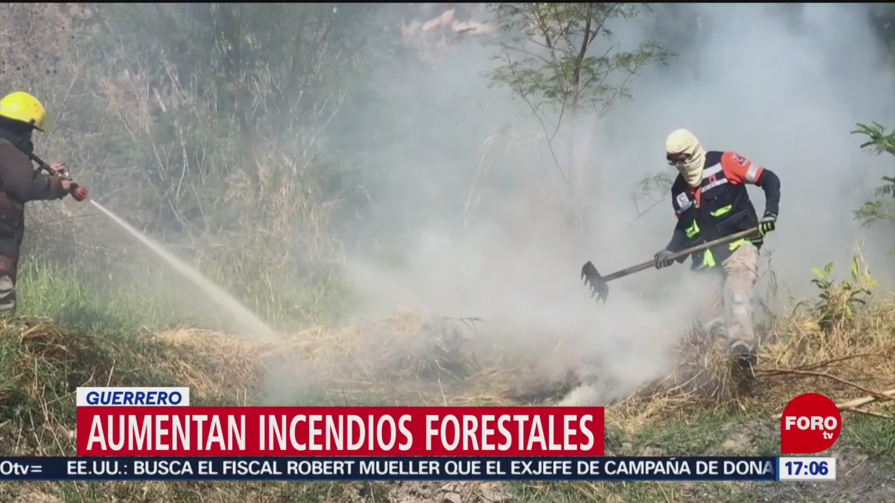 FOTO: Aumentan incendios forestales en Guerrero, 17 febrero 2019