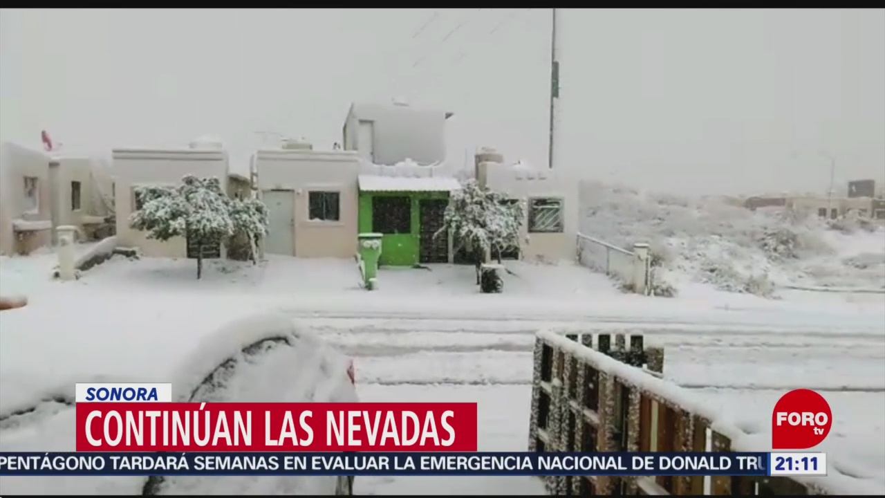 Foto: Bajas Temperaturas Nevadas Nogales Sonora 22 de Febrero 2019