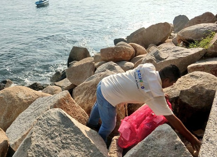 Recolectan 70 toneladas de basura en playas de Acapulco