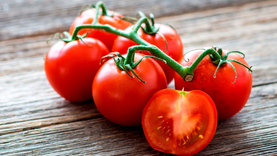 ¿Cuál es el conflicto del tomate entre México y Estados Unidos?