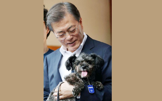 El presidente de Corea del Sur adopta un perro, durante una campaña en la que fomenta el respeto a los animales y a no usarlos como carne en el país asiático (Reuters)