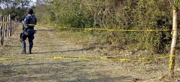 Foto: fosas clandestinas en Tecomán, Colima, 9 de febrero 2019. Twitter @Diario_deColima