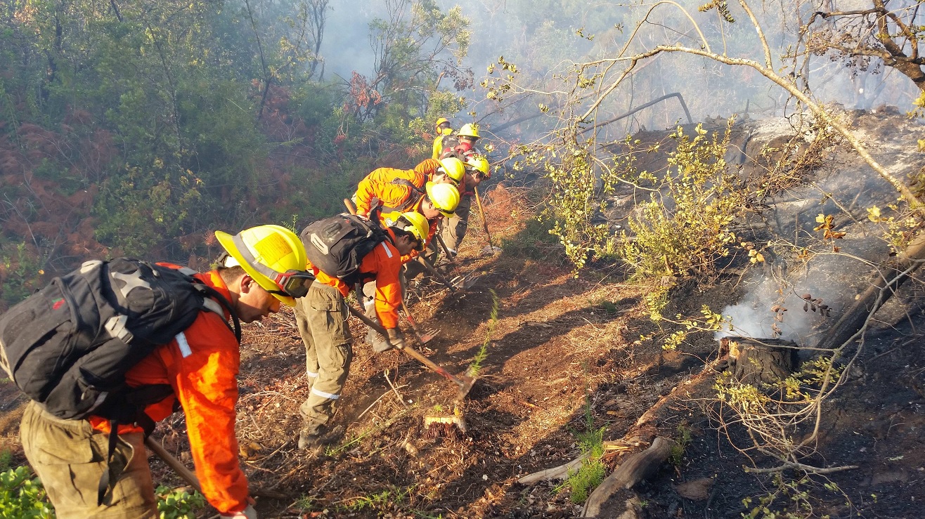 Foto: Brigadistas combaten un incendio forestal en La Araucanía, Chile, el 5 de febrero del 2019