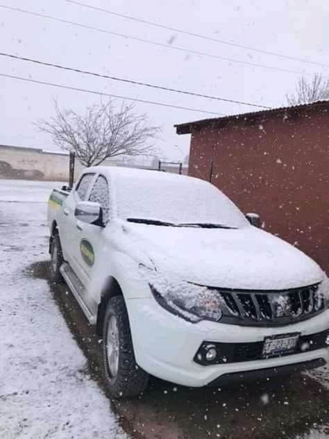 Foto: Frente frío 39 provoca nieve Chihuahua 19 febrero 2019