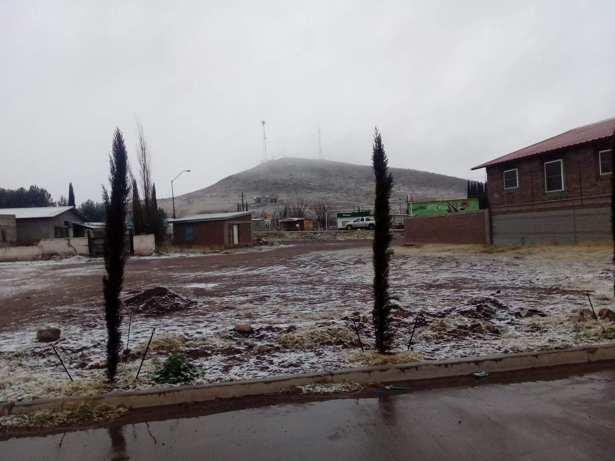 Foto: Frente frío 39 provoca caída de nieve en Chihuahua 19 febrero 2019