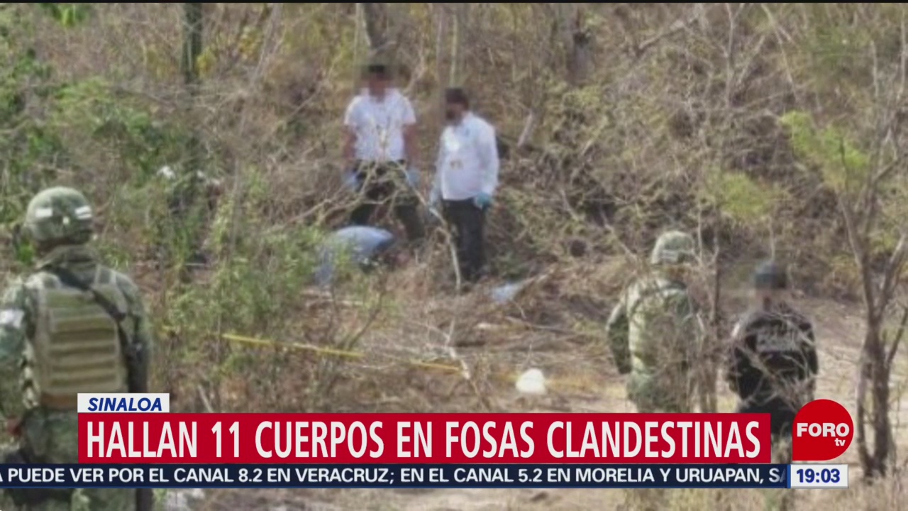 Hallan 11 cuerpos masculinos en fosas clandestinas en Sinaloa
