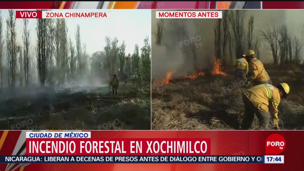 Foto: Incendio consume pastizales en zona chinampera de Xochimilco