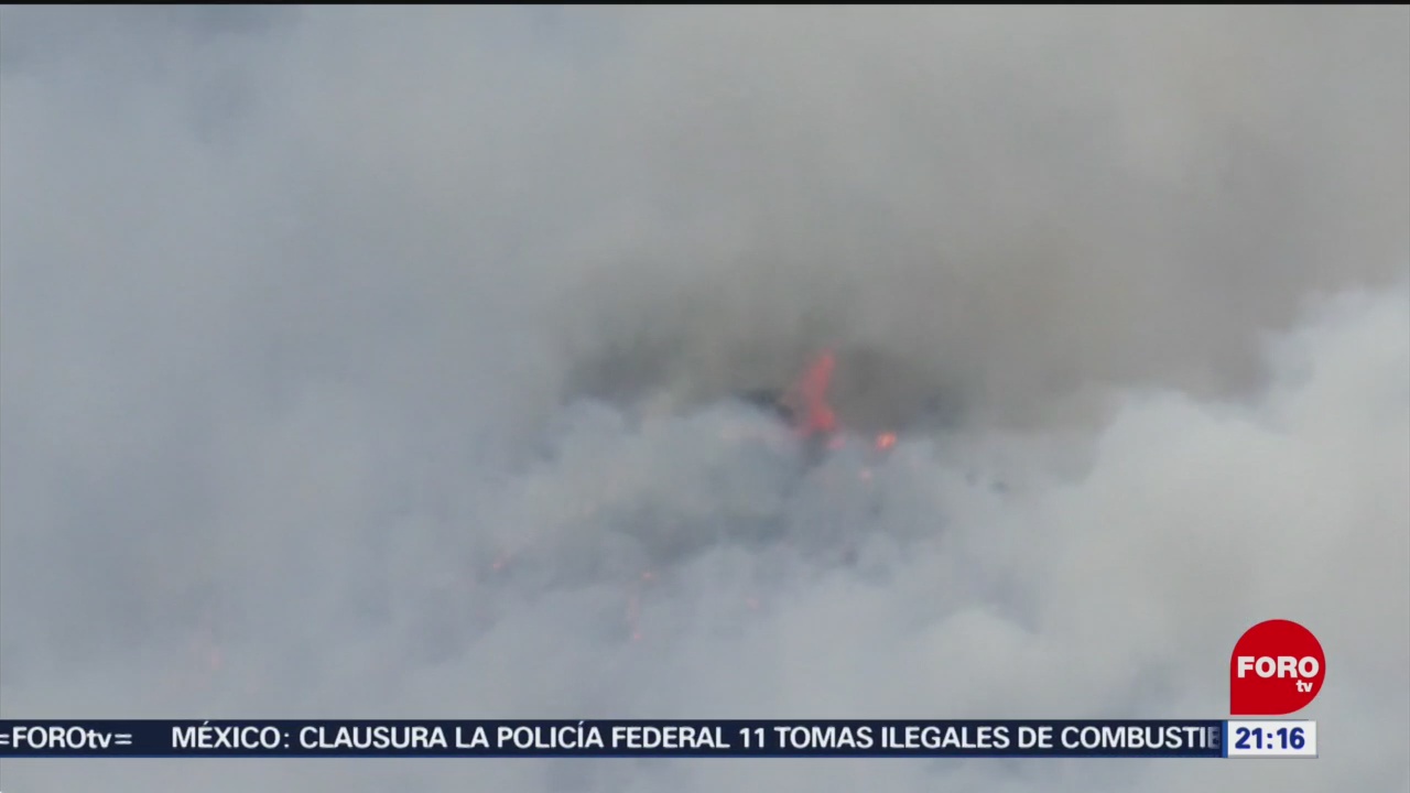 FOTO: Incendio controlado en un 90 por ciento en Arteaga, Coahuila, 24 febrero 2019