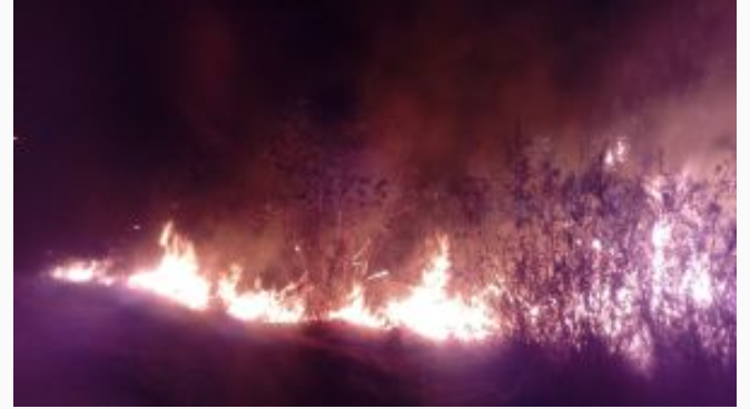 Foto: Incendio de pastizales, México