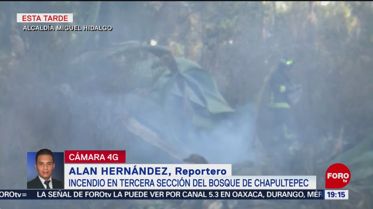 FOTO: Incendio en la Tercera Sección del Bosque de Chapultepec, 17 febrero 2019