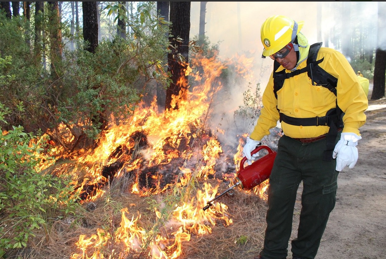 Prohíben quemas agrícolas en Chiapas para evitar incendios forestales