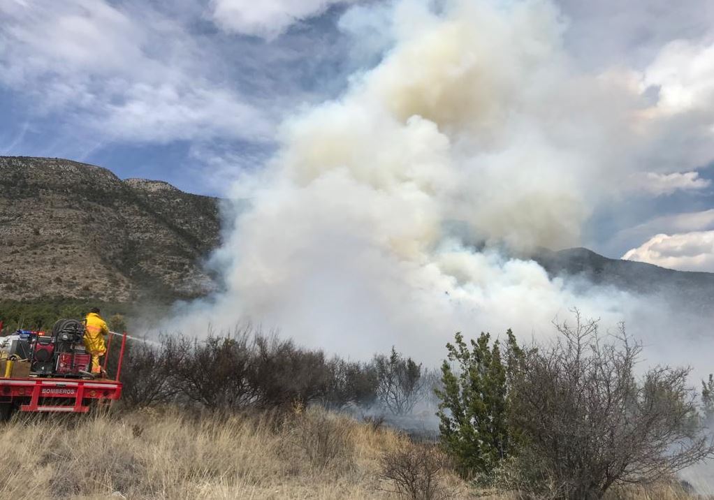Incendio forestal en Coahuila afecta 70 hectáreas en Arteaga