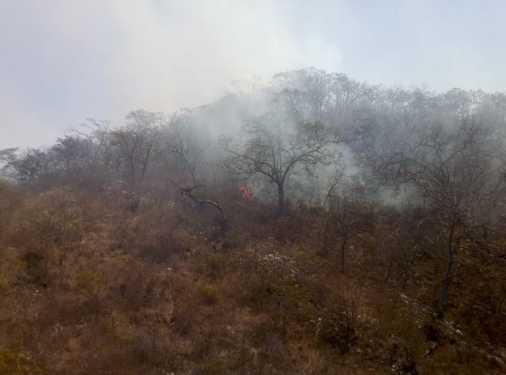 Foto: Incendio forestal en la reserva del Cañon del Sumidero, 18 de febrero 2019. (Juan Álvarez Moreno)