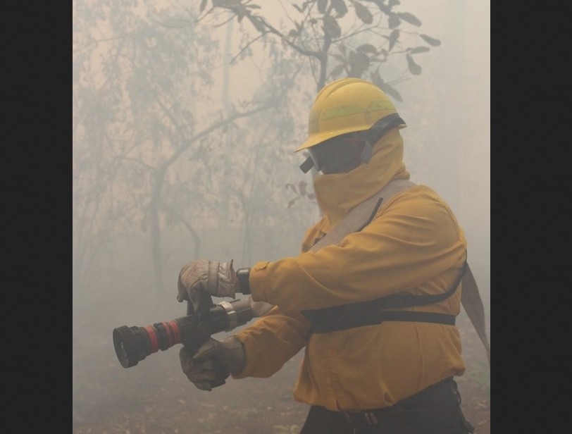 Foto: Aumentan los incendios forestales en Veracruz, 20 de febrero 2019. Twitter @CONAFOR