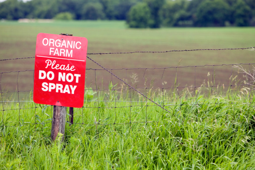 Las granjas orgánicas no suelen utilizar los pesticidas más comunes, aunque es posible que utilicen otros químicos que son supuestamente 'menos tóxicos' (GettyImages)