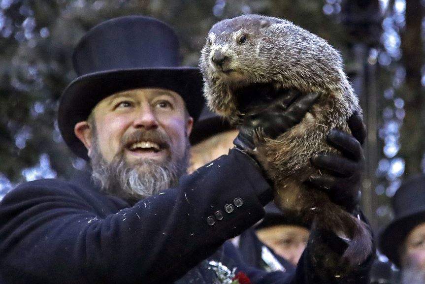 Foto: La marmota Phil, el animal meteorólogo más famoso del mundo, 2 febrero 2019