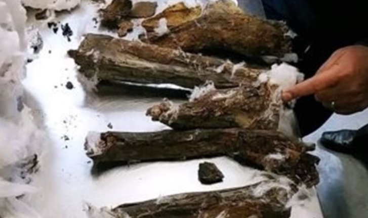 Descubren momias escondidas dentro de bocina en Egipto