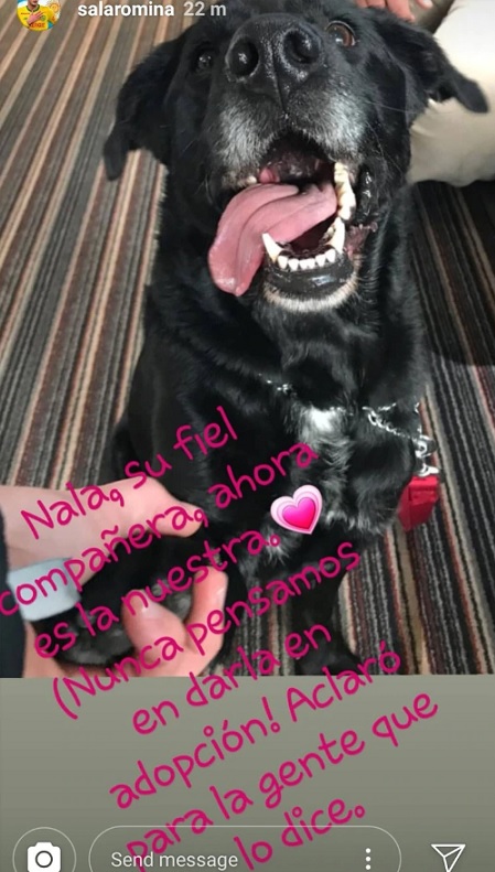 Nala, la perrita de Emiliano Sala que aún espera su regreso