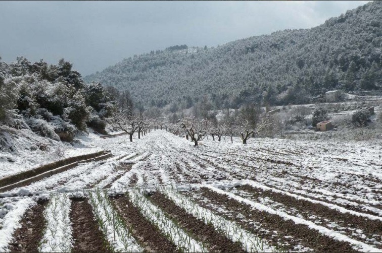Foto: Se prevén nevadas en Sonora, 12 de enero 2019. Notimex
