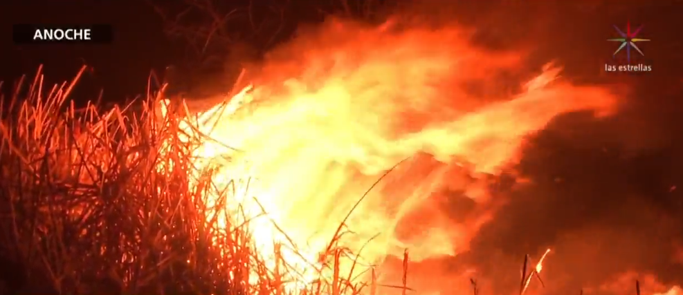 Foto: Pastizales Xochimilco se incendian, 20 de febrero de 2019, Ciudad de México 