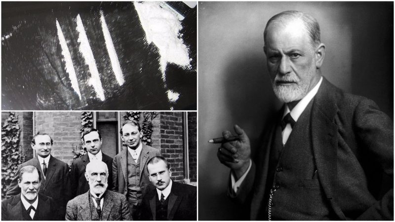 Sigmund Freud introdujo la cocaína a la medicina europea