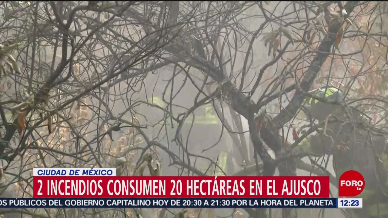FOTO: 2 incendios consumen 20 hectáreas en el Ajusco, 30 Marzo 2019