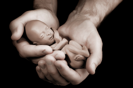 Foto: Un hombre sostiene la réplica de un feto de 12 semanas en las palmas de sus manos, 21 marzo 2019