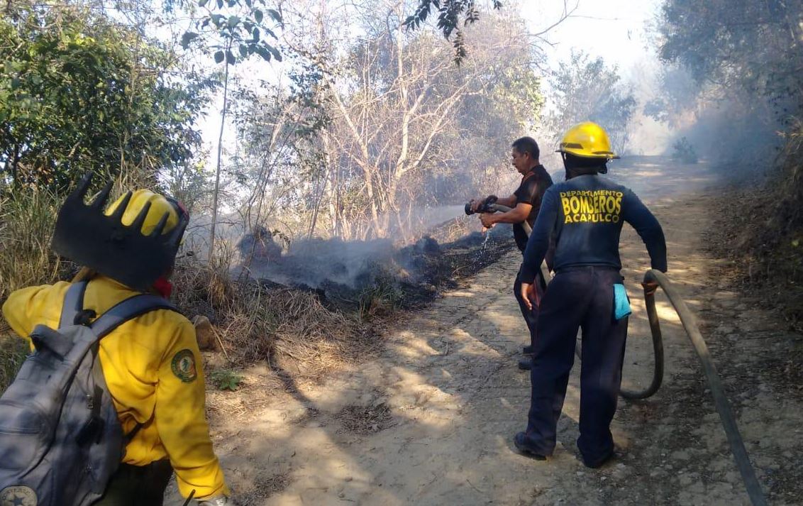 Foto: Bomberos de Acapulco trabajan para combatir un incendio forestal, 30 marzo 2019