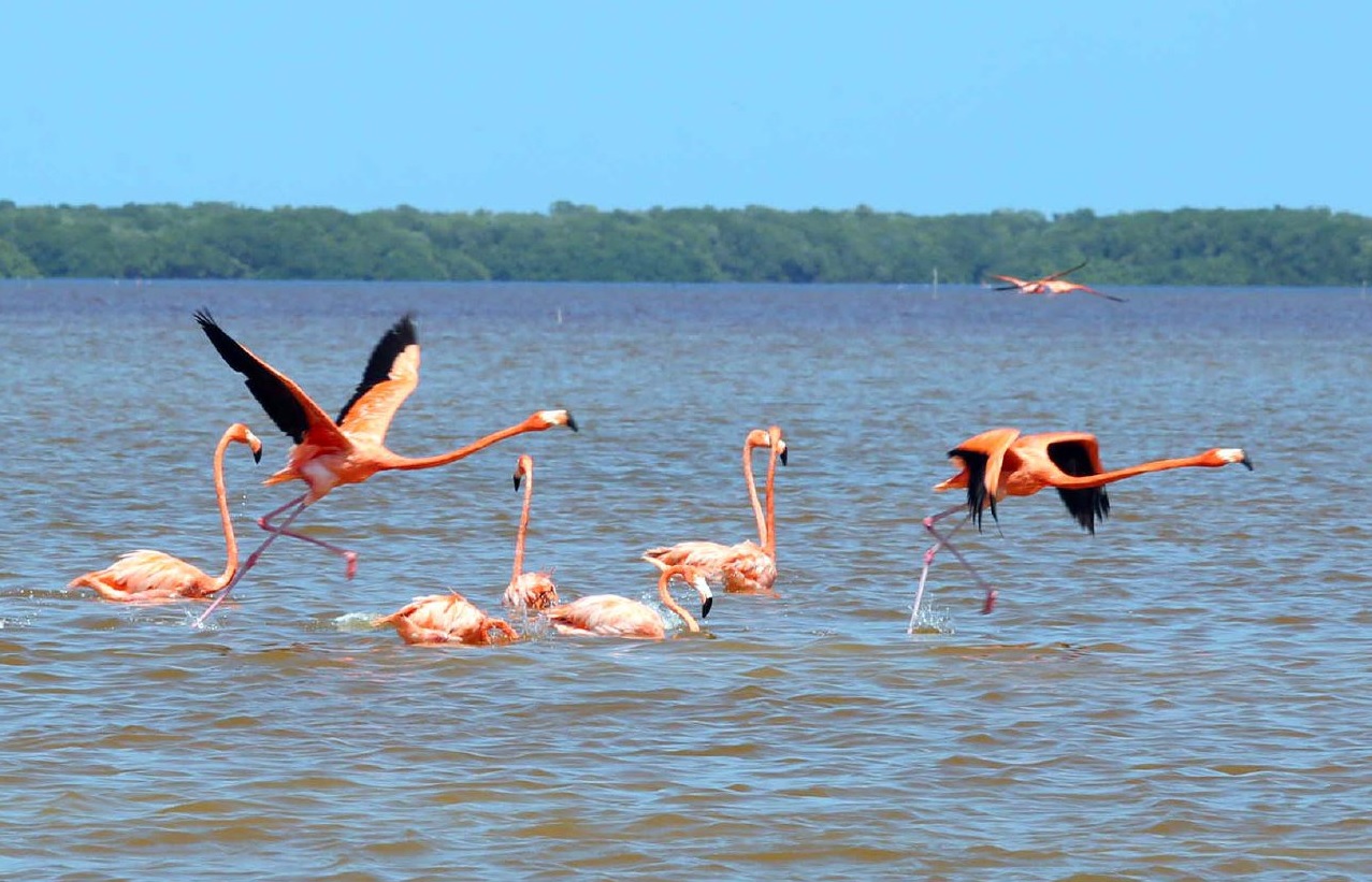 Evalúan áreas naturales protegidas de Yucatán