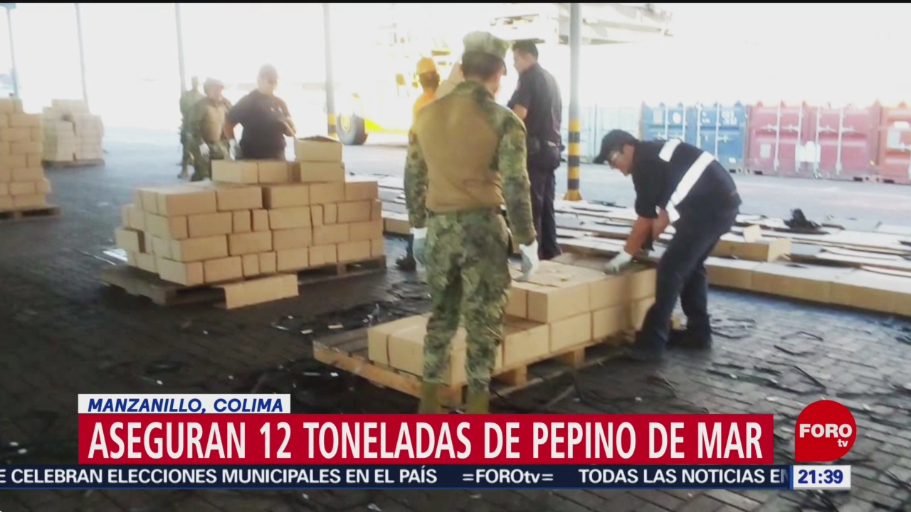 FOTO: Aseguran 12 toneladas de pepino de mar en Manzanillo, Colima, 31 Marzo 2019