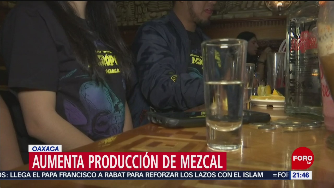 Aumenta producción del Mezcal en Oaxaca