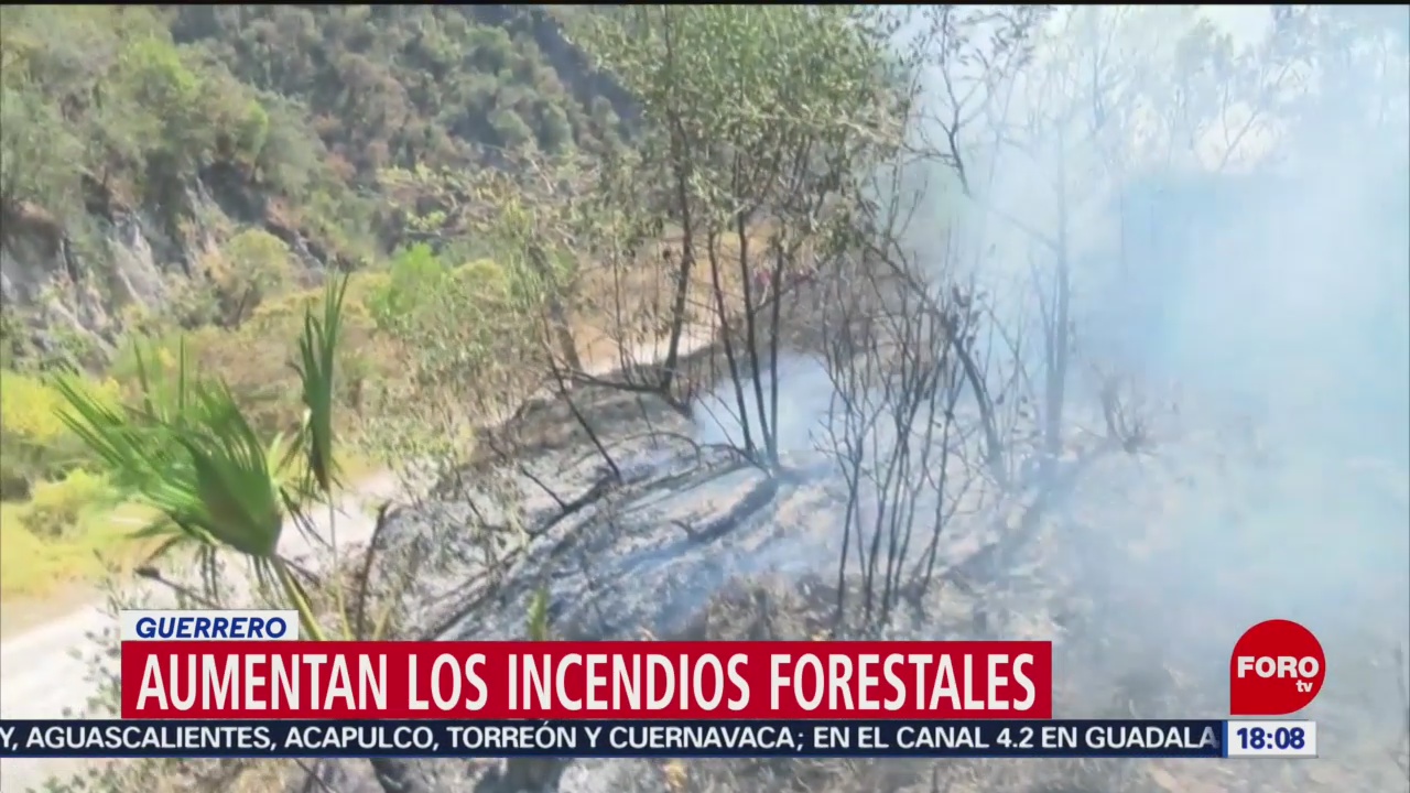 Aumentan los incendios forestales en Guerrero