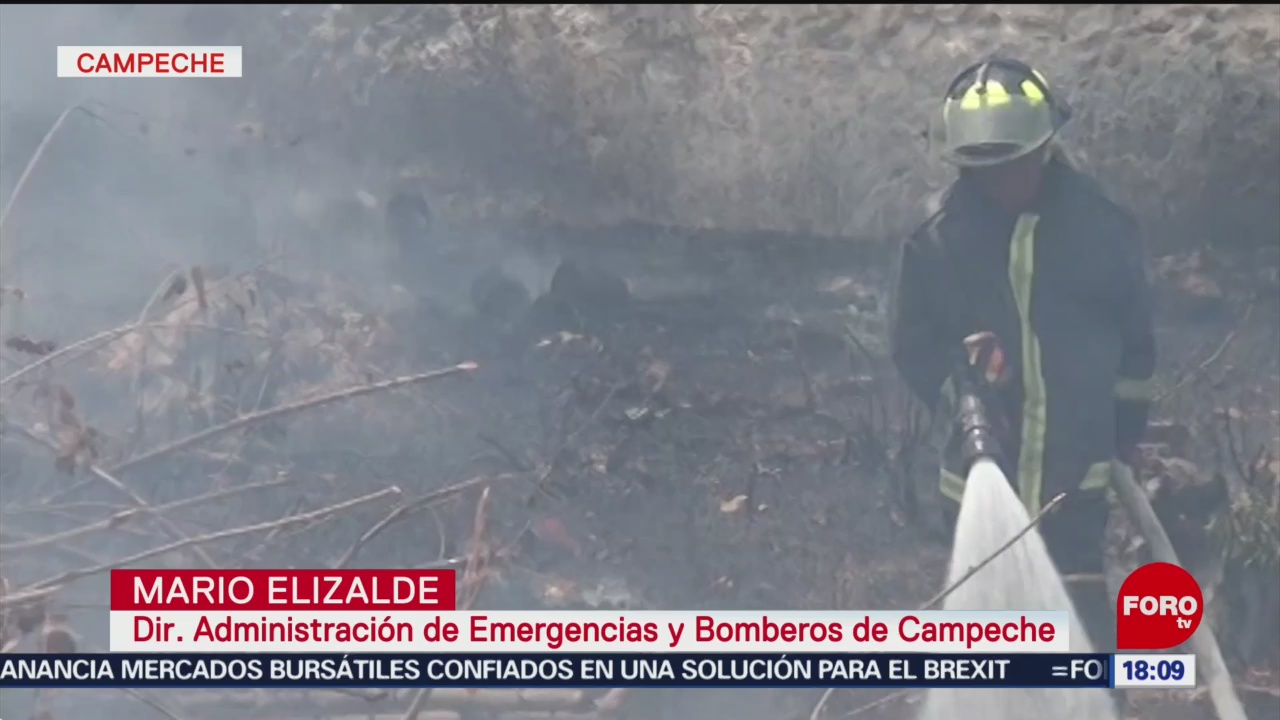 Foto: Campaña contra incendios forestales en Campeche
